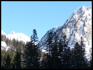 P1020375 